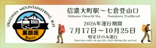 裏銀座バス